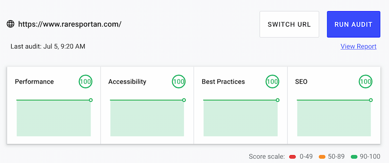 The performance score of this website